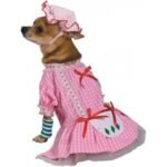Strawberry Shortcake Costume for Pet Dog
