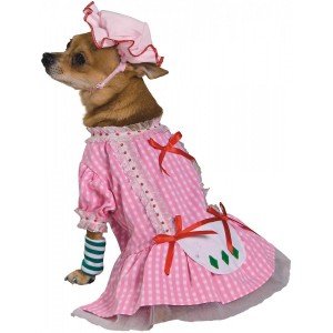 strwberry shortcake costume dog pet