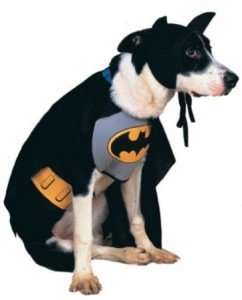 batman costume dog