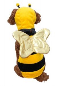 bumble bee dog costume