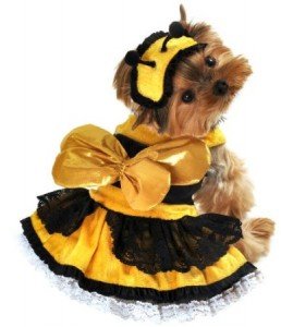 bumble bee dog pet costume