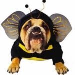 Cute Bumble Bee Costume for Pet Dog