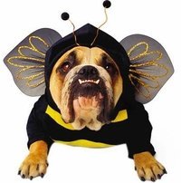 dog bumble bee costume