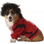 Michael Jackson Costume for Pet Dog