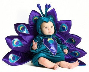 peacock costume baby