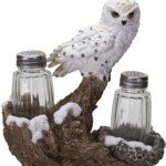 Whoo’s Ready to Spice Up Their Kitchen? Get Hootin’ with Owl Theme Salt and Pepper Shakers